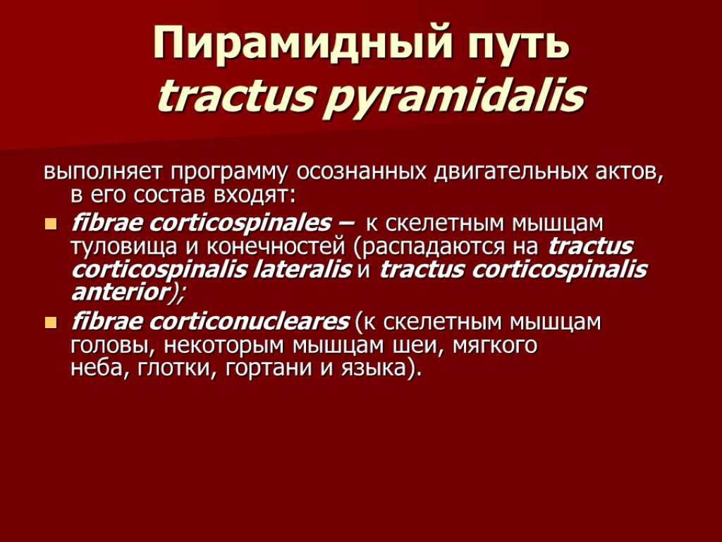 Пирамидный путь tractus pyramidalis выполняет программу осознанных двигательных актов, в его состав входят: fibrae
